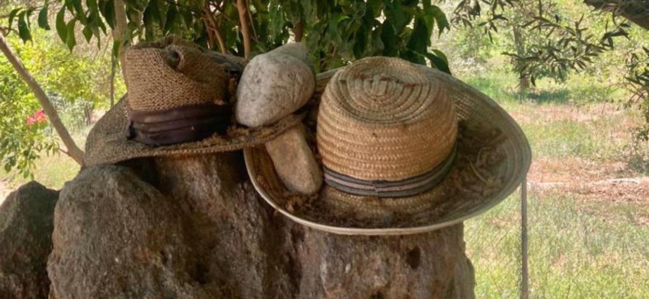 Finca Limoneros Appartamento Alora Esterno foto
